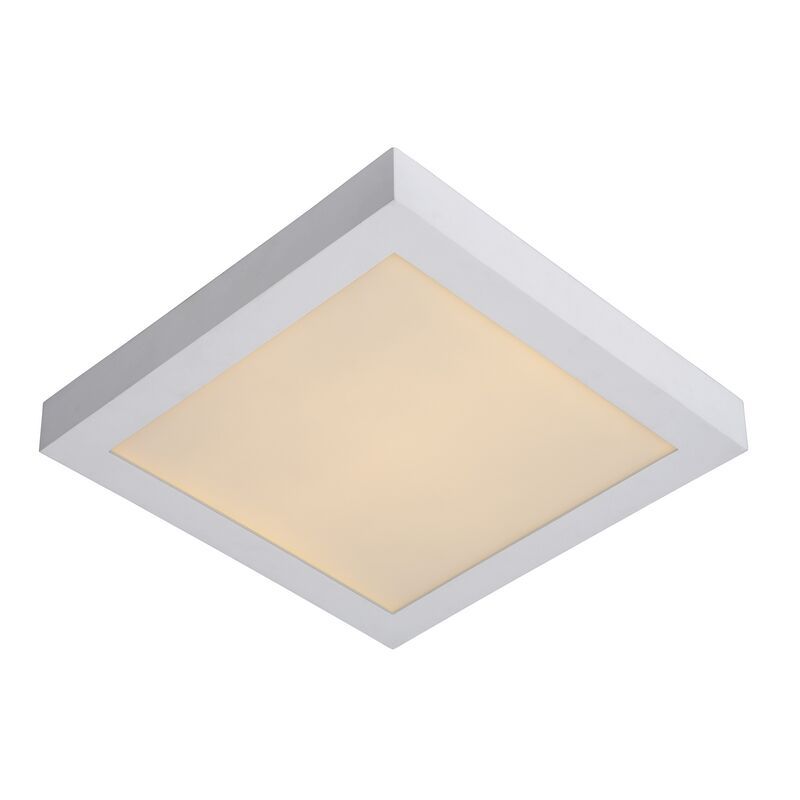 Bílé stropní světlo moderní, Brice, 30W, LED 3000 K, IP44
