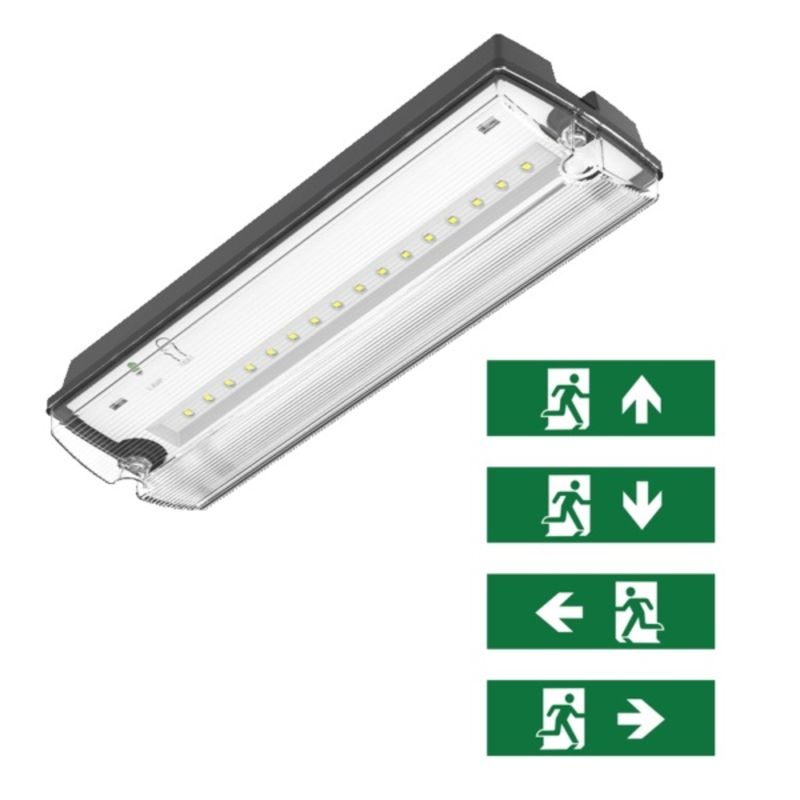 Černé nouzové osvětlení včetně piktogramů, Pedram, 3W, 6500K LED, IP66