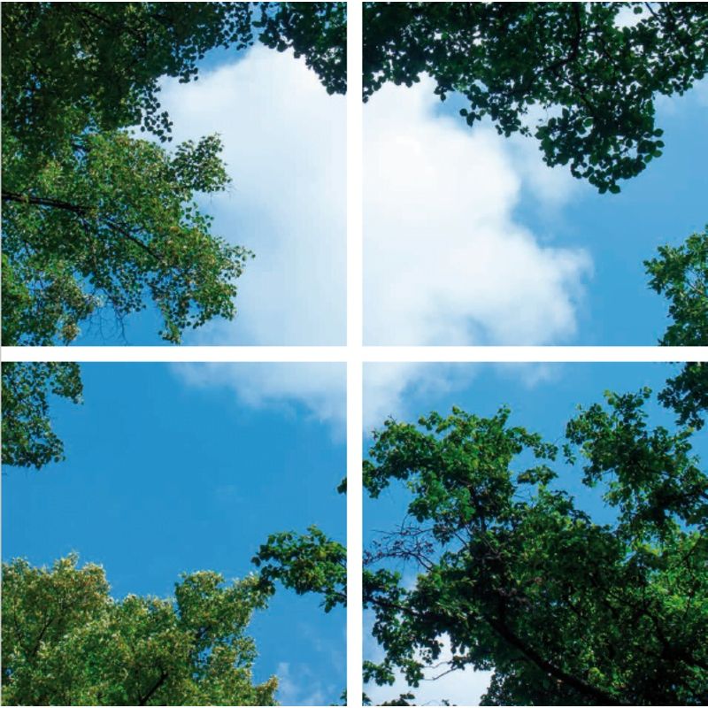 Fototisk mraku s lesem - sada 4 akrylových desek s potiskem, pro LED panely 60x60 cm