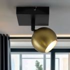 Moderní stropní bodové světlo mosazné, Matea