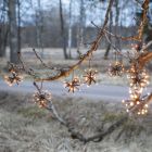 Plastové vánoční světlo černé, 3,1W, 2200K LED, IP44