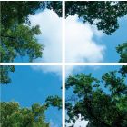 Fototisk mraku s lesem - sada 4 akrylových desek s potiskem, pro LED panely 60x60 cm