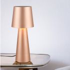 Hnědá stolní lampa moderní, Lillyam, s vypínačem