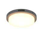 Antracité venkovní nástěnné světlo se senzorem pohybu kovové, Prashant, 14W, LED white switch, IP54