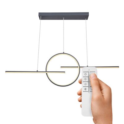 Kovové designové závěsné světlo antracité, Wieger, 50W, LED nastavitelný od teplé po studenou bílou, s dálkovým ovládáním