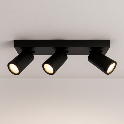 Moderní stropní bodové světlo černé, Kenan, IP44