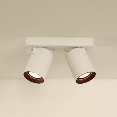 Bílé stropní bodové světlo moderní, Nigel