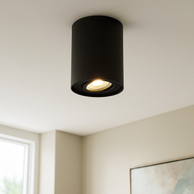 Moderní přisazené stropní svítidlo černé, Onno