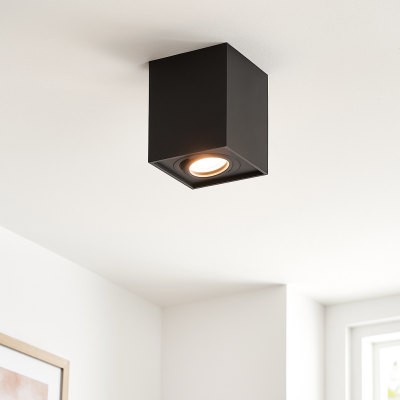 Moderní přisazené stropní svítidlo černé, Dane