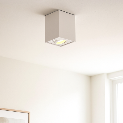 Moderní přisazené stropní svítidlo bílé, Dane