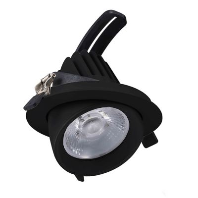 Černý downlight hliníkový, Shanaya, 30W, LED white switch