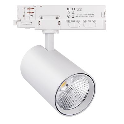 Bílé třífázové bodové světlo do kolejnice, Rozina, 10W/20W/30W, , bílý LED vypínač