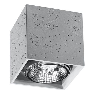 Betonové přisazené stropní svítidlo šedé, Eugene