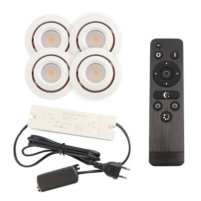 Hliníkové podhledové světlo na verandu bílé, Rona, 3W, LED 2700 K, IP44, s dálkovým ovládáním