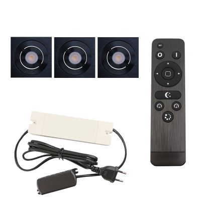 Hliníkové podhledové světlo na verandu černé, Rona, 9W, LED 2700 K, IP44, s dálkovým ovládáním