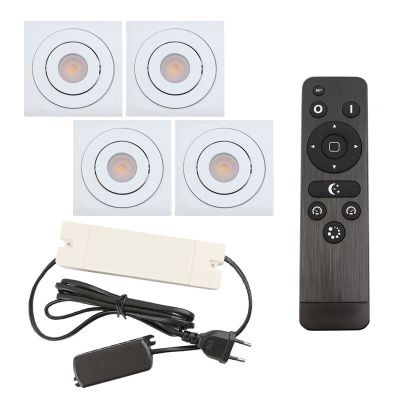 Hliníkové podhledové světlo na verandu bílé, Rona, 12W, LED 2700 K, IP44, s dálkovým ovládáním