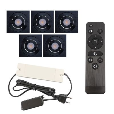 Hliníkové podhledové světlo na verandu černé, Rona, 15W, LED 2700 K, IP44, s dálkovým ovládáním