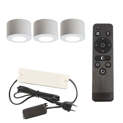 Hliníkové přisazené stropní svítidlo na verandu bílé, Vasso, 9W, LED 2700 K, IP44, s dálkovým ovládáním