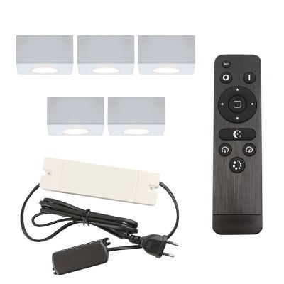 Hliníkové přisazené stropní svítidlo na verandu bílé, Fredo, 15W, LED 2700 K, IP44, s dálkovým ovládáním