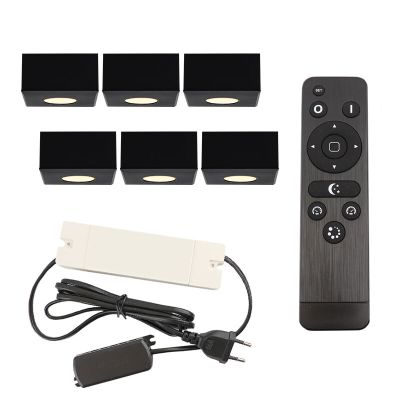 Hliníkové přisazené stropní svítidlo na verandu černé, Fredo, 18W, LED 2700 K, IP44, s dálkovým ovládáním