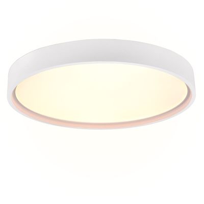 Bílé stropní světlo moderní, Destin, 29W, LED white switch