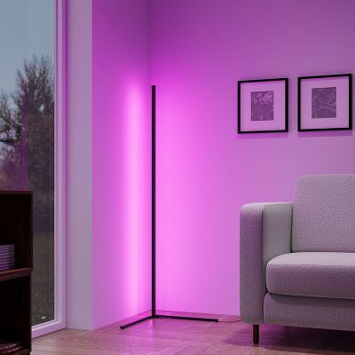 Černá stojací lampa moderní, Erdal, 10W, LED RGB, s dálkovým ovládáním