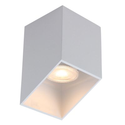 Moderní přisazené stropní svítidlo bílé, Neva